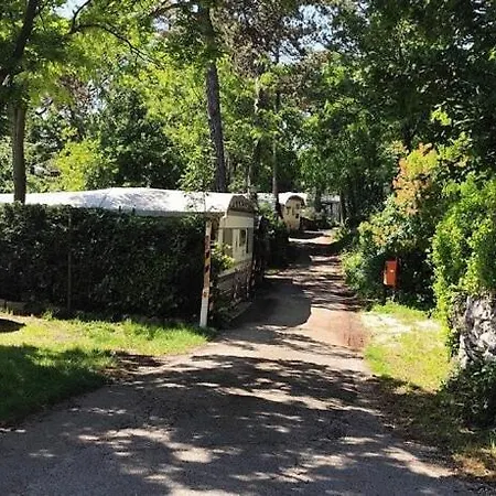 Obelisco Kamp alanı